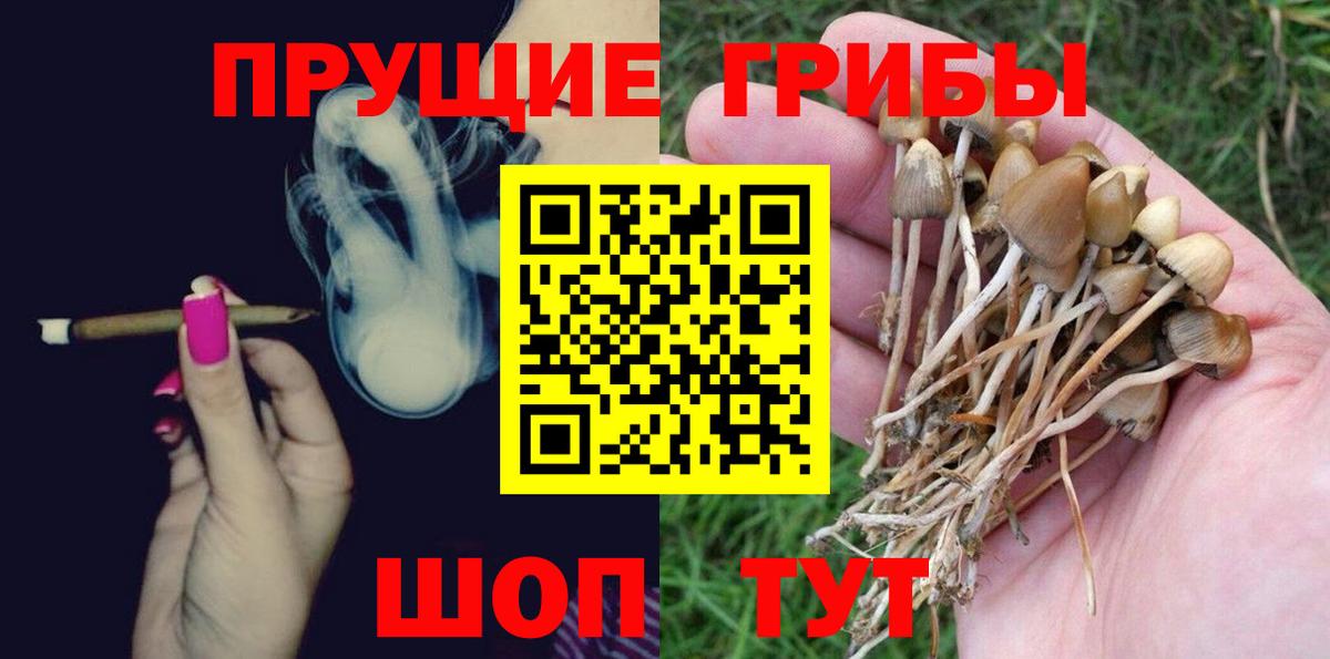 Нерюнгри  Псилоцибиновые грибы прущие грибы  Вход с VPN  Галлюциногенные грибы Psilocybine cubensis 